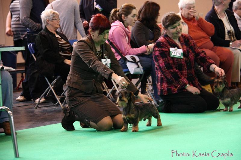 Crufts2011_2 626.jpg